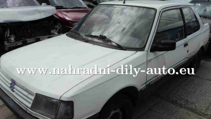 Náhradní díly z vozu Peugeot 309 / nahradni-dily-auto.eu